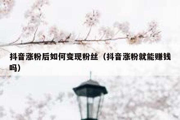 抖音涨粉后如何变现粉丝（抖音涨粉就能赚钱吗） 第1张