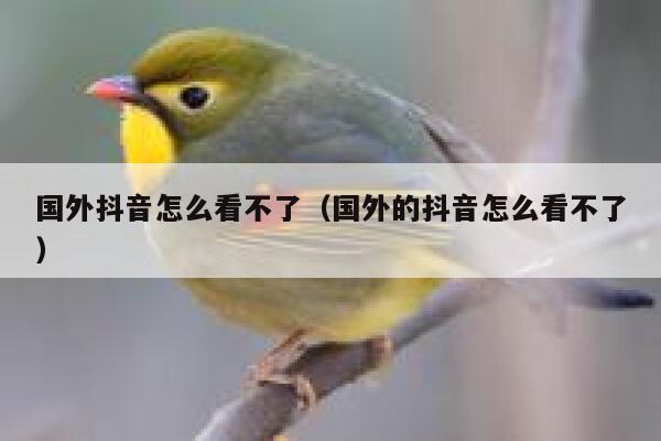 国外抖音怎么看不了（国外的抖音怎么看不了） 第1张