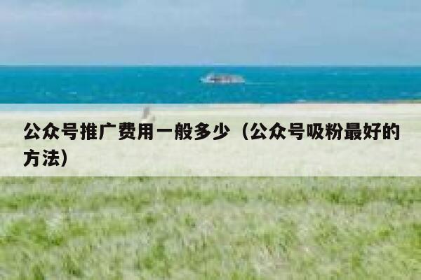 公众号推广费用一般多少（公众号吸粉最好的方法） 第1张