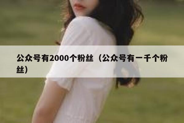 公众号有2000个粉丝（公众号有一千个粉丝） 第1张