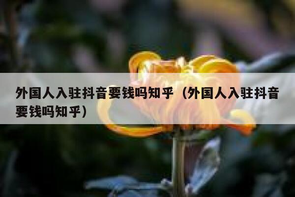 外国人入驻抖音要钱吗知乎（外国人入驻抖音要钱吗知乎） 第1张