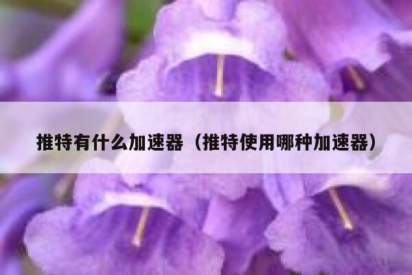 推特有什么加速器（推特使用哪种加速器） 第1张