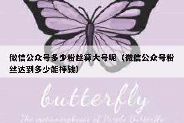 微信公众号多少粉丝算大号呢（微信公众号粉丝达到多少能挣钱） 第1张
