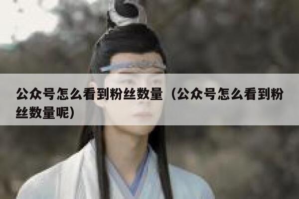 公众号怎么看到粉丝数量（公众号怎么看到粉丝数量呢） 第1张