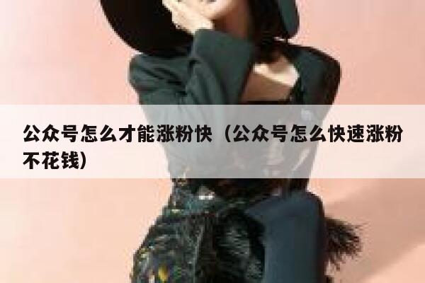 公众号怎么才能涨粉快（公众号怎么快速涨粉不花钱） 第1张