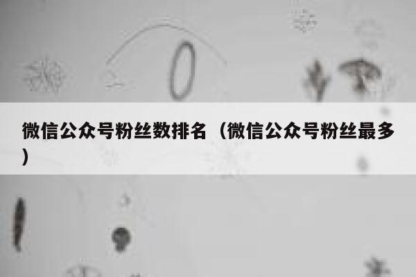 微信公众号粉丝数排名（微信公众号粉丝最多） 第1张
