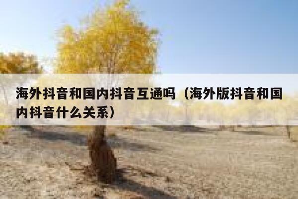 海外抖音和国内抖音互通吗（海外版抖音和国内抖音什么关系） 第1张