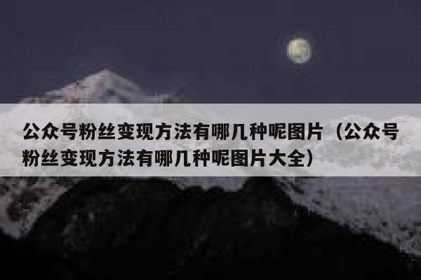 公众号粉丝变现方法有哪几种呢图片（公众号粉丝变现方法有哪几种呢图片大全） 第1张