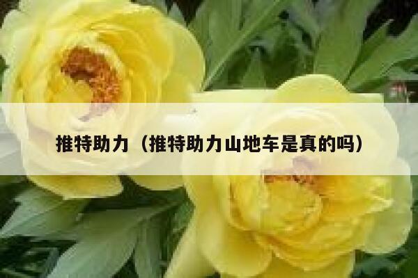推特助力（推特助力山地车是真的吗） 第1张