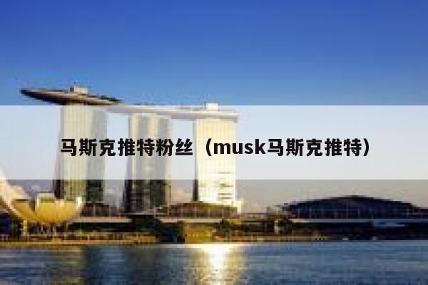 马斯克推特粉丝（musk马斯克推特） 第1张