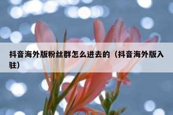 抖音海外版粉丝群怎么进去的（抖音海外版入驻） 第1张