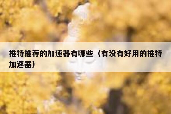 推特推荐的加速器有哪些（有没有好用的推特加速器） 第1张