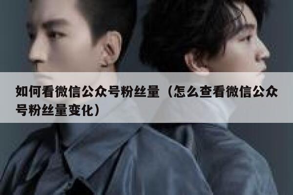 如何看微信公众号粉丝量（怎么查看微信公众号粉丝量变化） 第1张