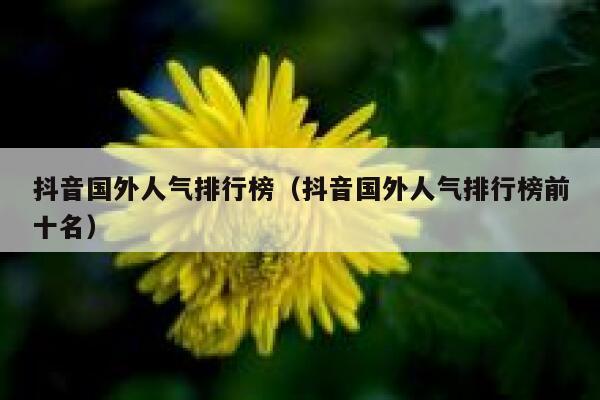 抖音国外人气排行榜（抖音国外人气排行榜前十名） 第1张