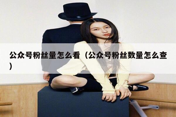 公众号粉丝量怎么看（公众号粉丝数量怎么查） 第1张