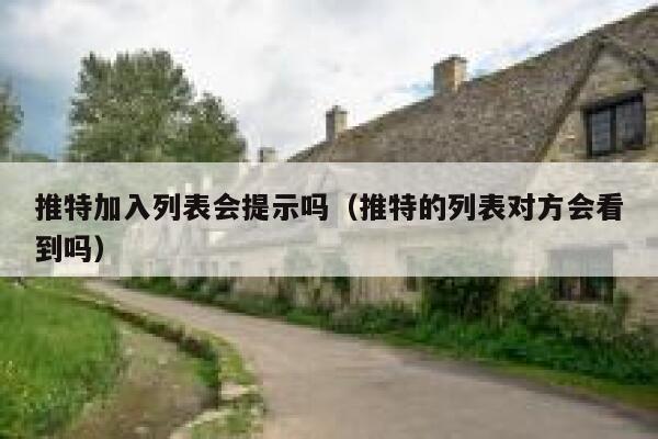 推特加入列表会提示吗（推特的列表对方会看到吗） 第1张