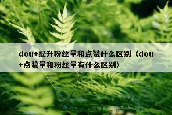 dou+提升粉丝量和点赞什么区别（dou+点赞量和粉丝量有什么区别） 第1张
