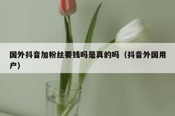 国外抖音加粉丝要钱吗是真的吗（抖音外国用户） 第1张