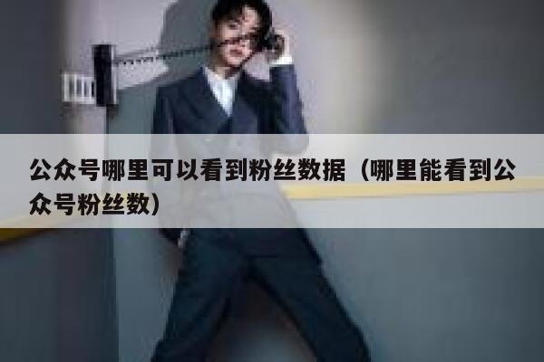 公众号哪里可以看到粉丝数据（哪里能看到公众号粉丝数） 第1张