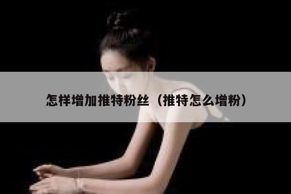 怎样增加推特粉丝（推特怎么增粉） 第1张