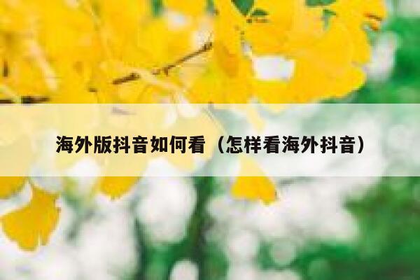 海外版抖音如何看（怎样看海外抖音） 第1张