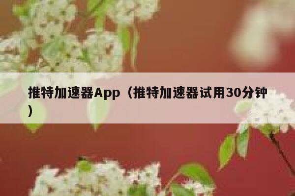 推特加速器App（推特加速器试用30分钟） 第1张