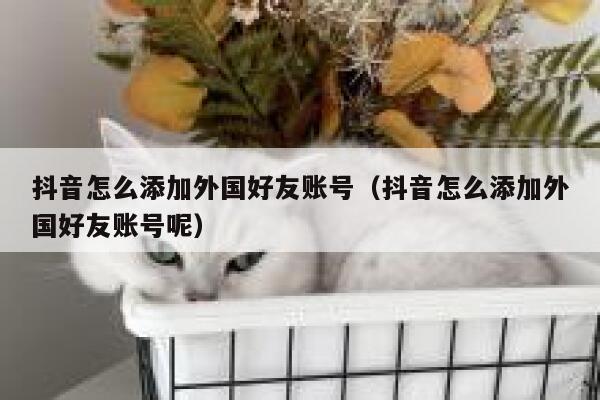 抖音怎么添加外国好友账号（抖音怎么添加外国好友账号呢） 第1张