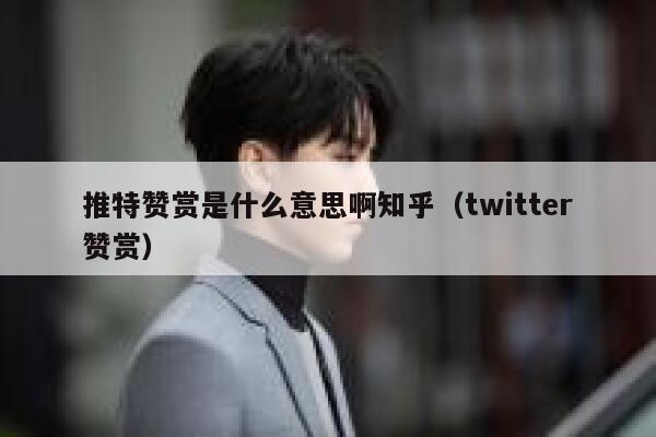 推特赞赏是什么意思啊知乎（twitter赞赏） 第1张