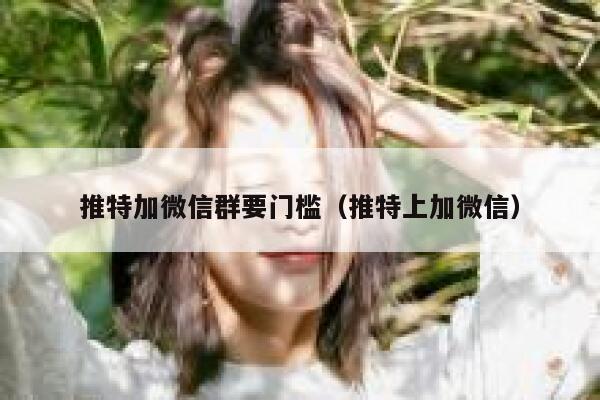 推特加微信群要门槛（推特上加微信） 第1张