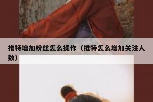 推特增加粉丝怎么操作（推特怎么增加关注人数） 第1张