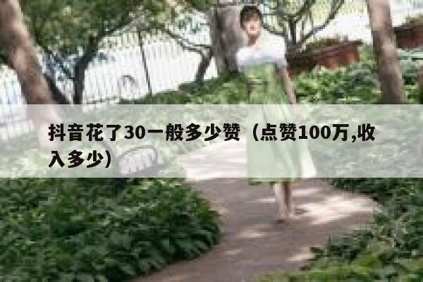 抖音花了30一般多少赞（点赞100万,收入多少） 第1张