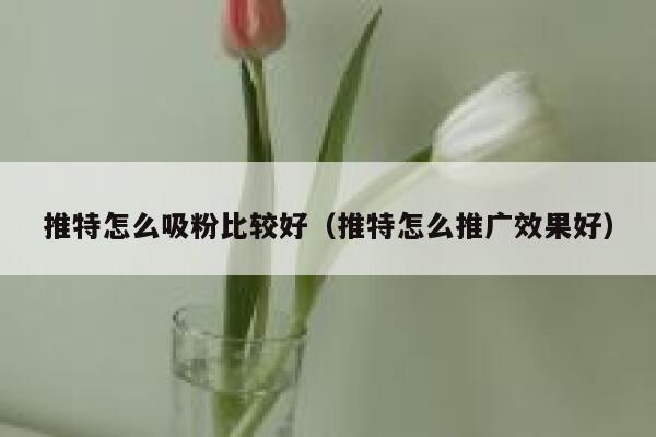 推特怎么吸粉比较好（推特怎么推广效果好） 第1张