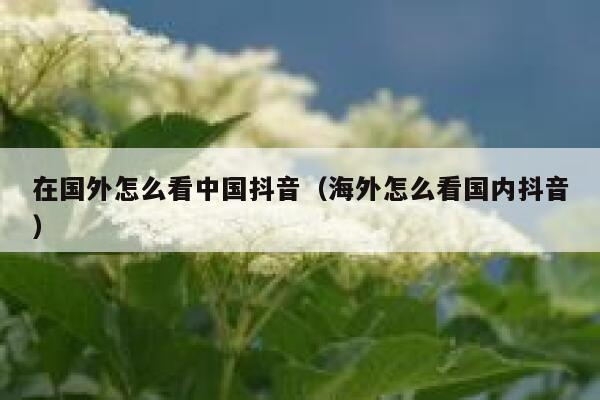在国外怎么看中国抖音（海外怎么看国内抖音） 第1张