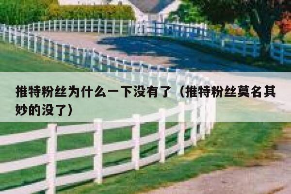 推特粉丝为什么一下没有了（推特粉丝莫名其妙的没了） 第1张