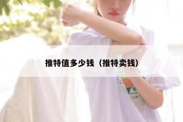 推特值多少钱（推特卖钱） 第1张