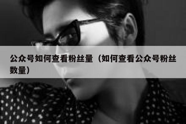 公众号如何查看粉丝量（如何查看公众号粉丝数量） 第1张