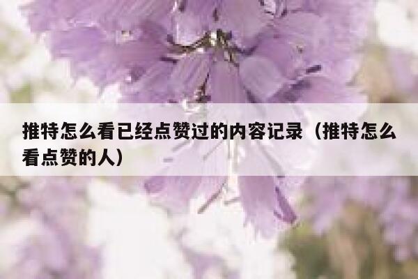 推特怎么看已经点赞过的内容记录（推特怎么看点赞的人） 第1张