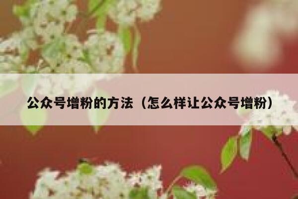 公众号增粉的方法（怎么样让公众号增粉） 第1张