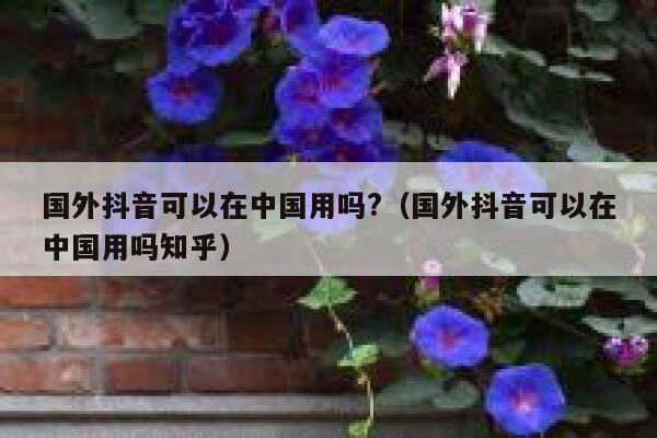 国外抖音可以在中国用吗?（国外抖音可以在中国用吗知乎） 第1张