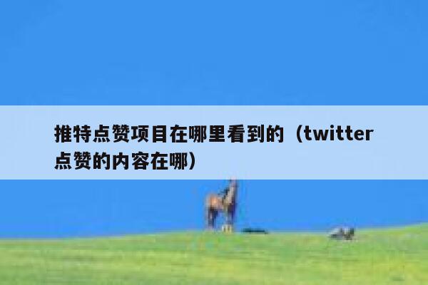 推特点赞项目在哪里看到的（twitter点赞的内容在哪） 第1张