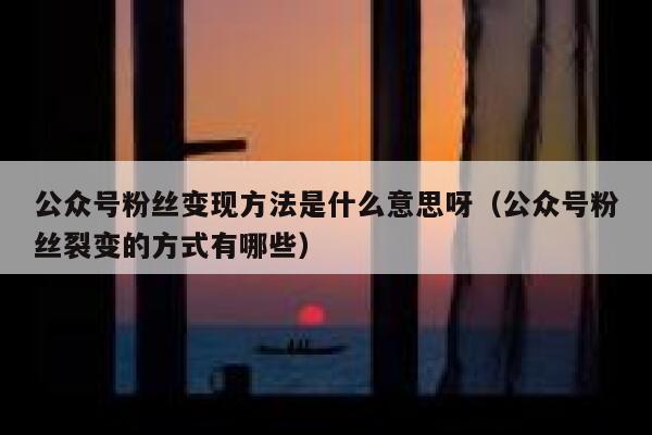 公众号粉丝变现方法是什么意思呀（公众号粉丝裂变的方式有哪些） 第1张