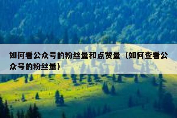 如何看公众号的粉丝量和点赞量（如何查看公众号的粉丝量） 第1张
