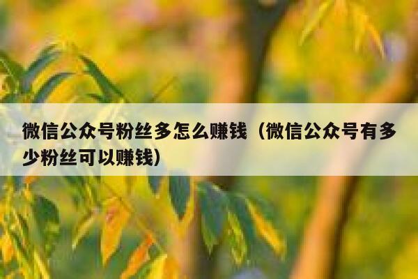 微信公众号粉丝多怎么赚钱（微信公众号有多少粉丝可以赚钱） 第1张