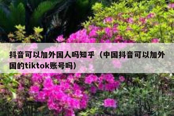 抖音可以加外国人吗知乎（中国抖音可以加外国的tiktok账号吗） 第1张
