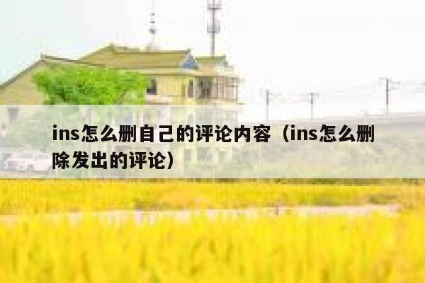 ins怎么删自己的评论内容（ins怎么删除发出的评论） 第1张