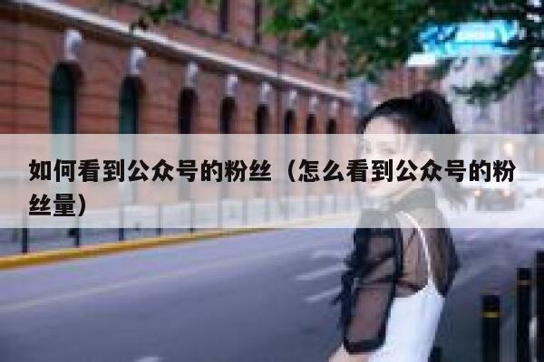 如何看到公众号的粉丝（怎么看到公众号的粉丝量） 第1张