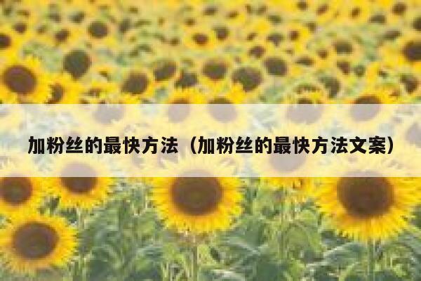 加粉丝的最快方法（加粉丝的最快方法文案） 第1张
