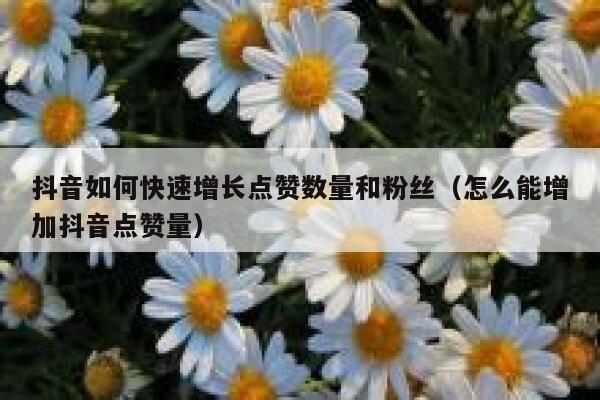 抖音如何快速增长点赞数量和粉丝（怎么能增加抖音点赞量） 第1张