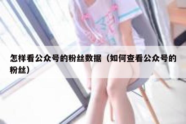 怎样看公众号的粉丝数据（如何查看公众号的粉丝） 第1张
