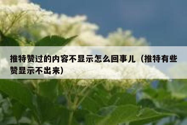 推特赞过的内容不显示怎么回事儿（推特有些赞显示不出来） 第1张